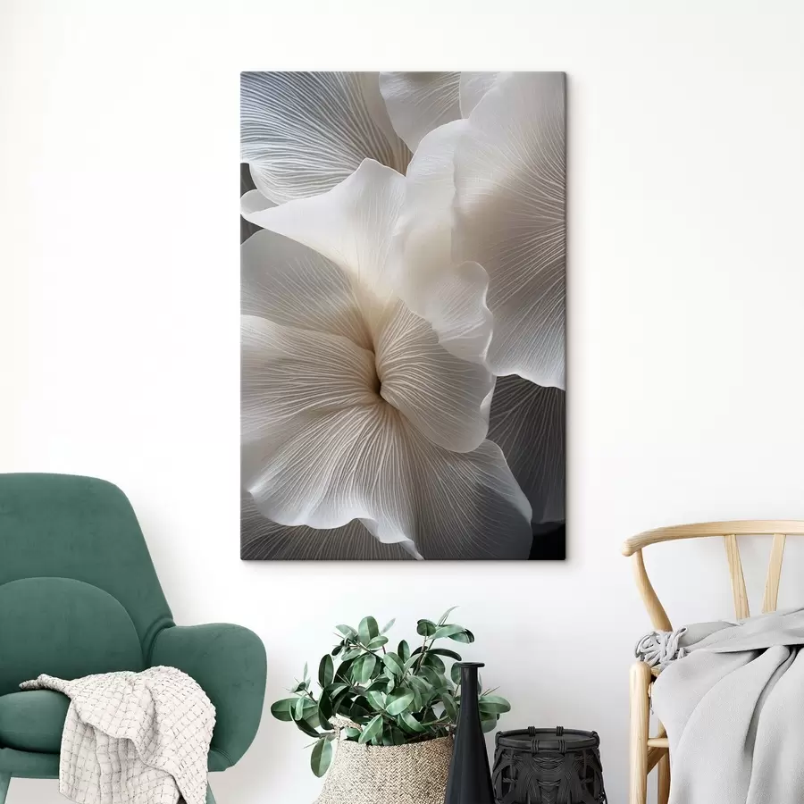 Obraz Detailní záběr jemných abstraktních bílých okvětních lístků s komplikovanými liniemi a rozmazaným tmavým pozadím Č. s47019