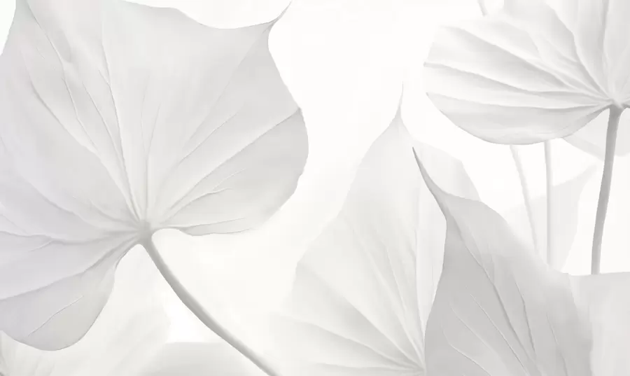 Fototapet Listy w05080