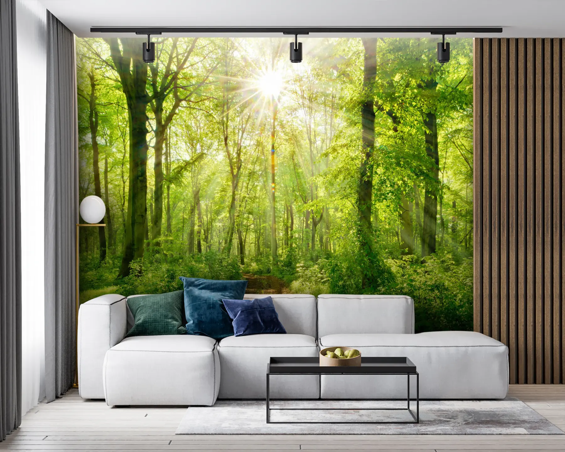 Fototapet Cesta ve slunném lese u22252