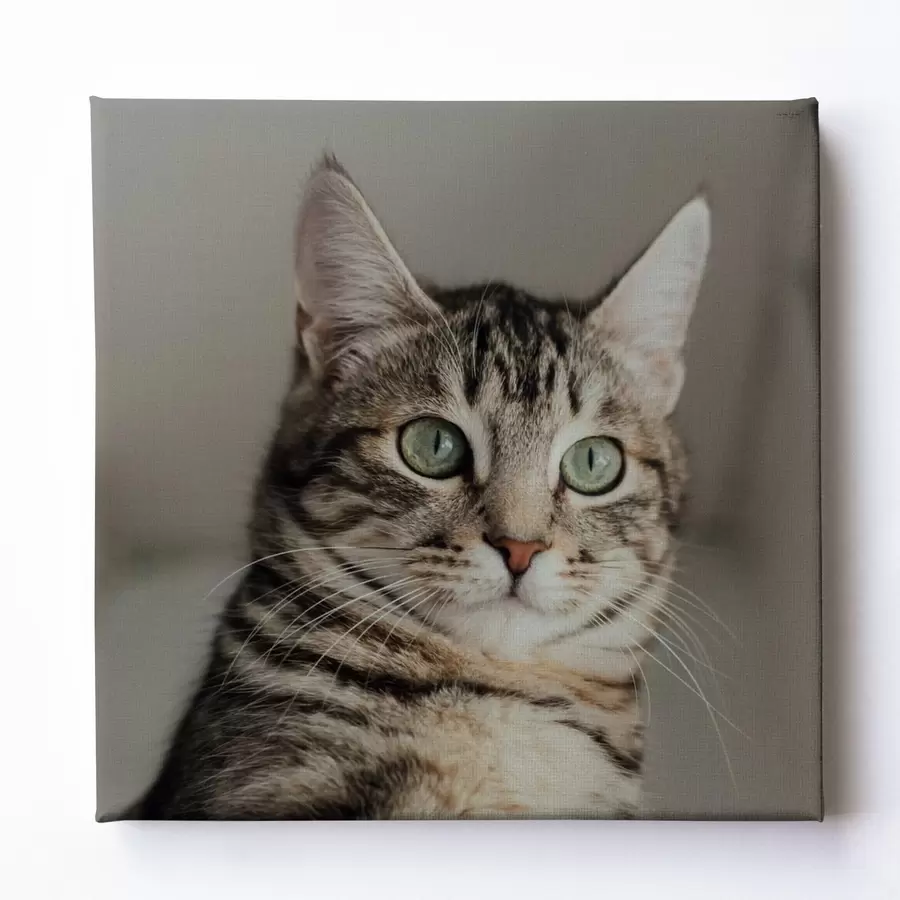 Obraz Romantický dárek pro pár na základě fotografie Č. s47204