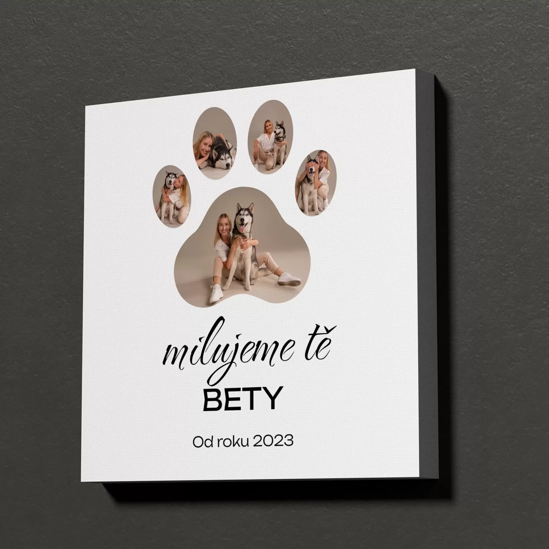 Obraz Fotokoláž ve tvaru tlapky na plátně pro vás a vaše miláčky Č. s47229
