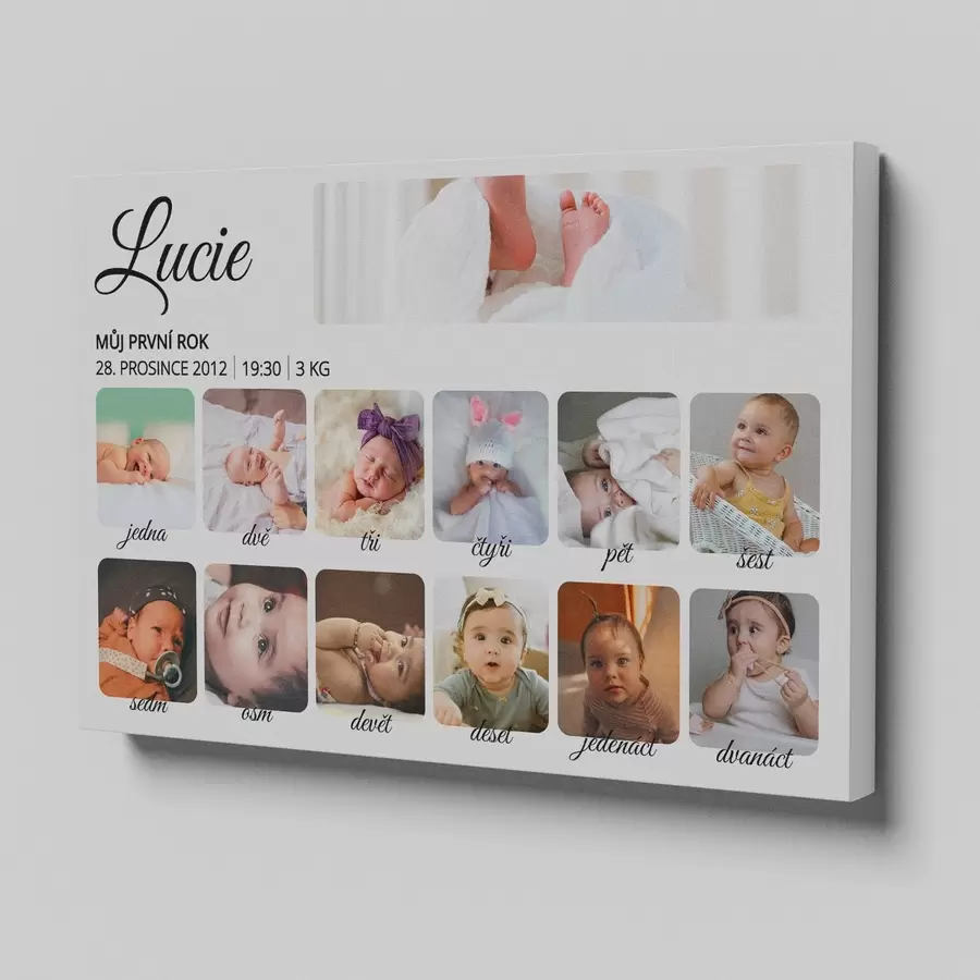 Obraz Fotokoláž „Můj první rok“ pro batolata Č. s47232