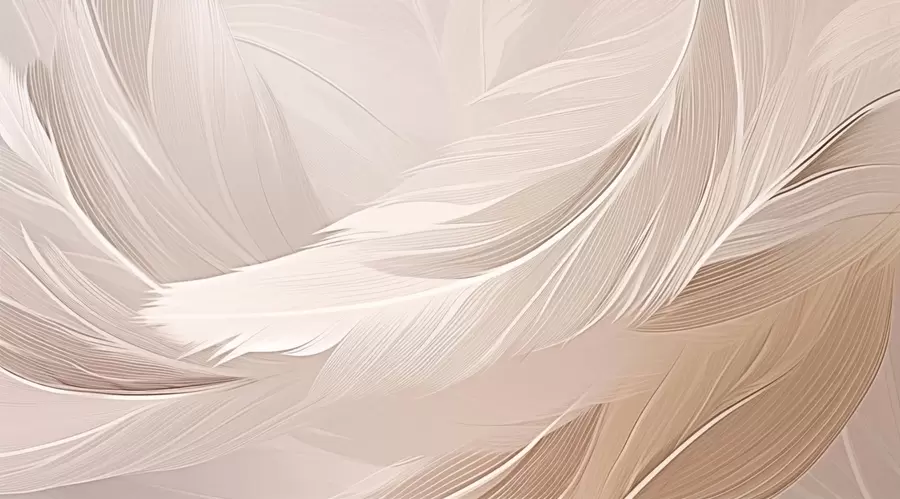 Fototapet Peří w05104