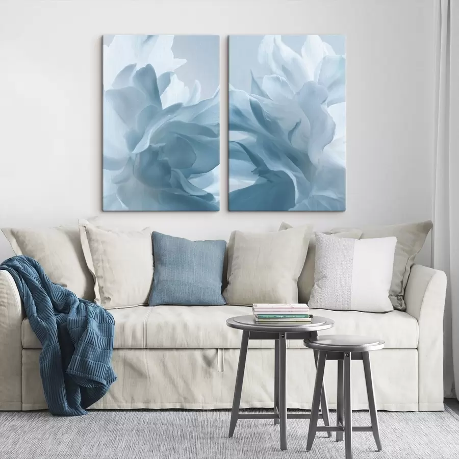 Obraz jemné okvětní lístky Č. m01281