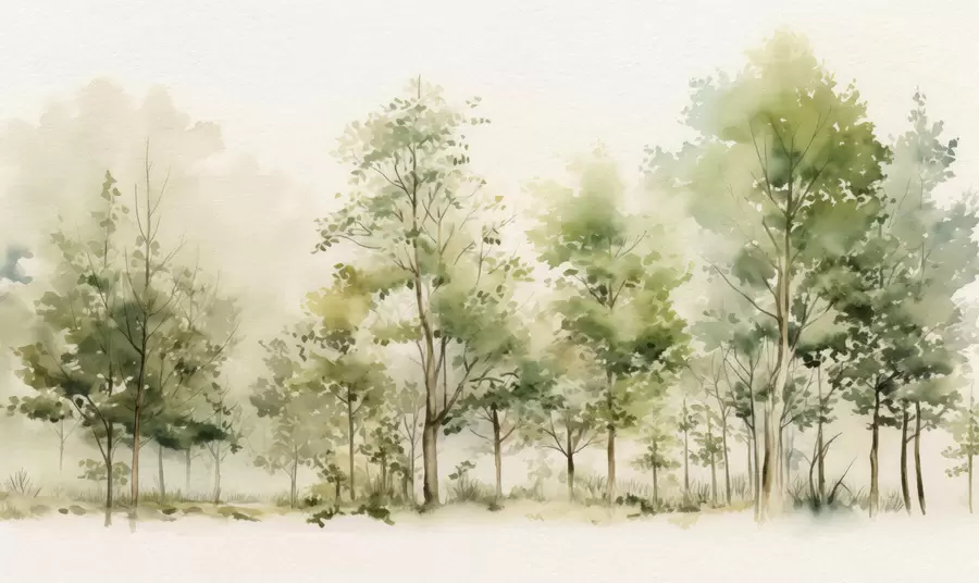 Fototapet Akvarel listnatý les w05180