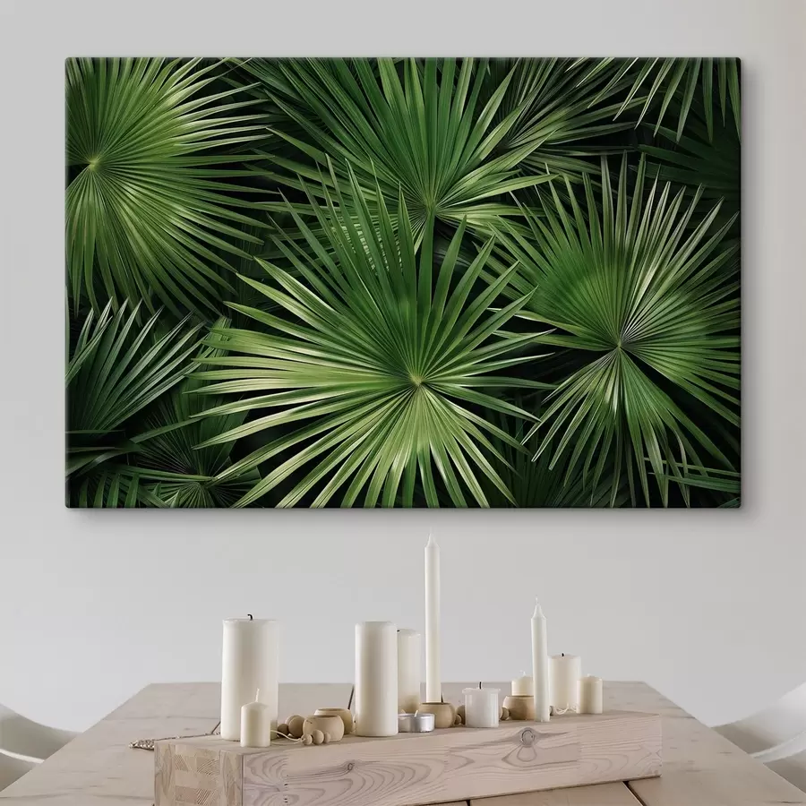 Obraz Velké listy, bragaea Č. s47746