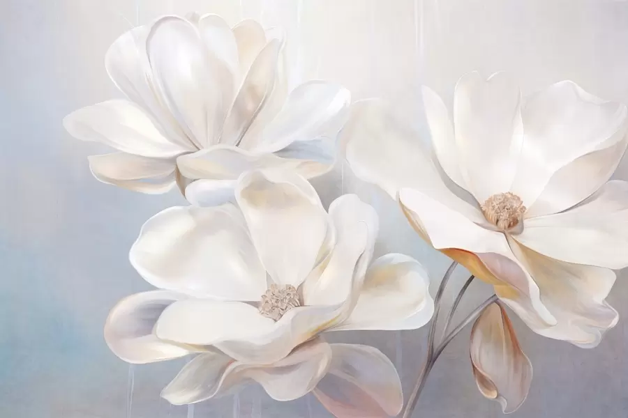 Fototapet Bílé fantazijní květy magnólie s jemně strukturovanými okvětními lístky, měkké abstraktní pozadí w09373