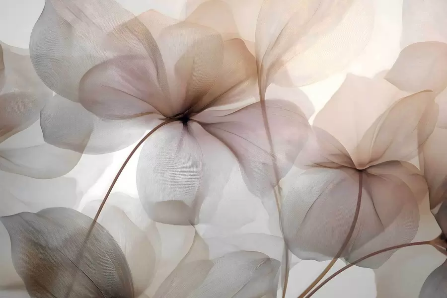 Fototapet poloprůhledné květy s žilkami w05070