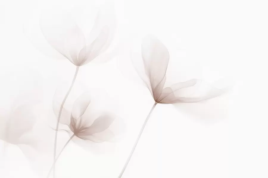 Fototapet Vzdušné béžové květiny v minimalistickém lehkém stylu w09734