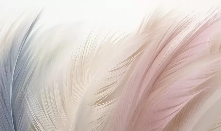 Fototapet Dech peří w05312