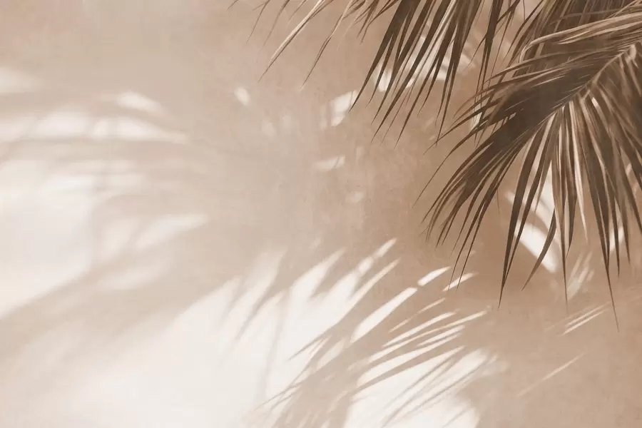 Fototapet Texturované palmové listy se stíny, tropická atmosféra, minimalismus w09890