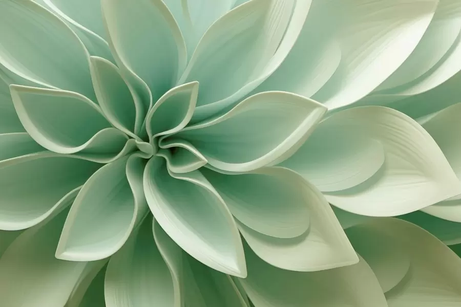 Fototapet Botanická geometrie w05559
