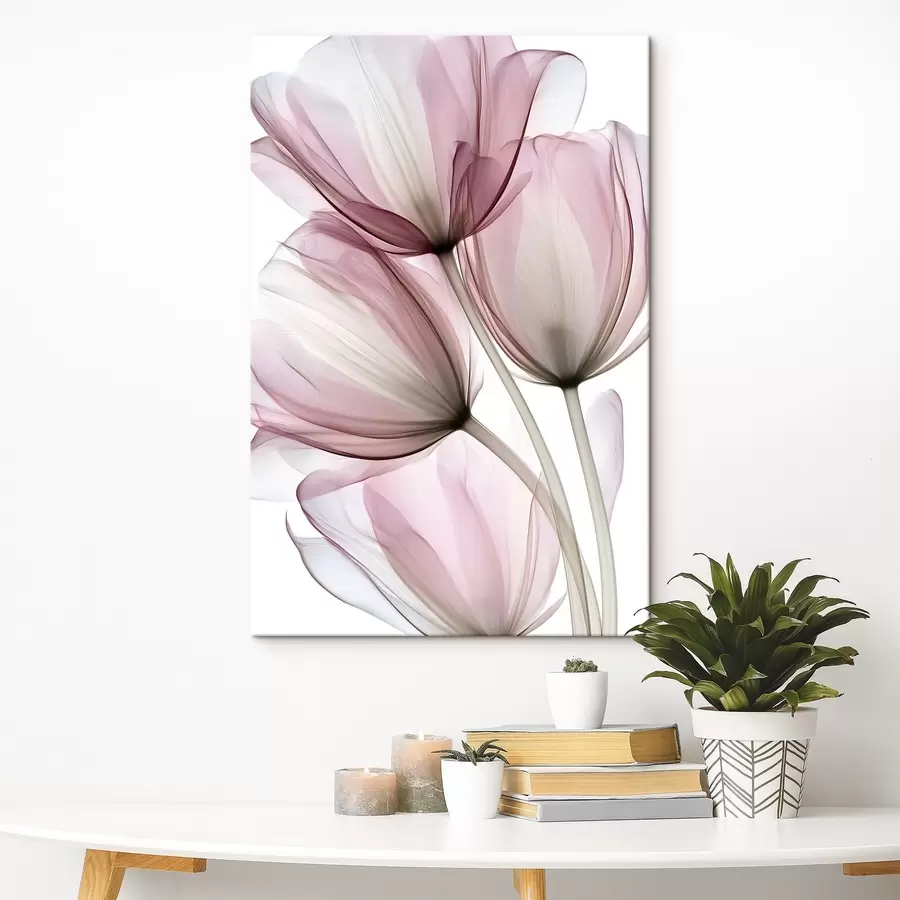 Obraz elegantní poloprůhledné tulipány Č. s49565