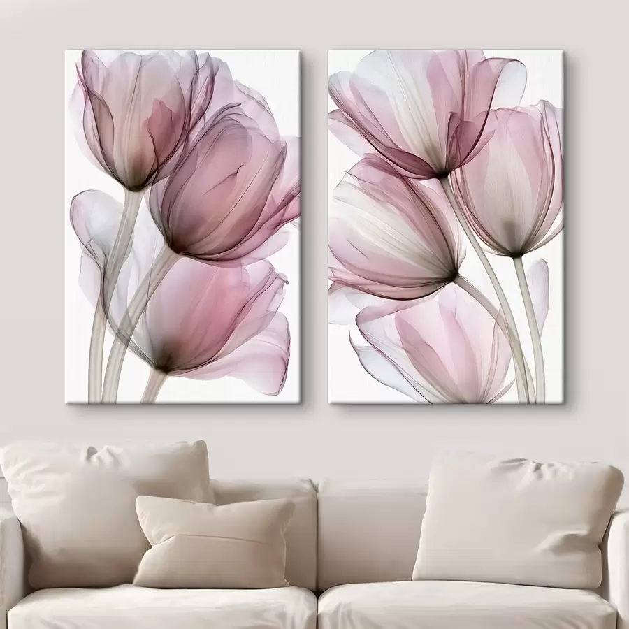 Fototapet elegantní poloprůhledné tulipány m30623
