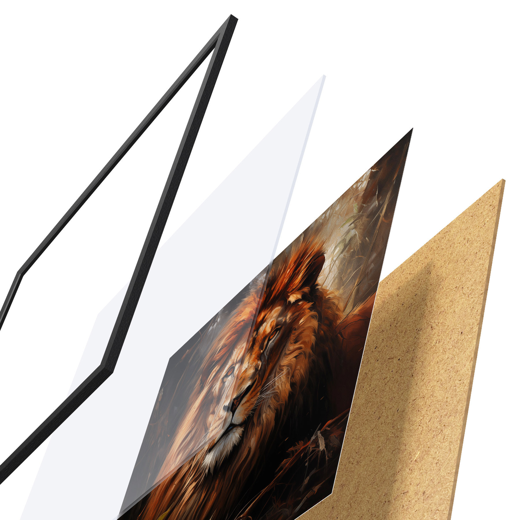 Poster Lion f49665