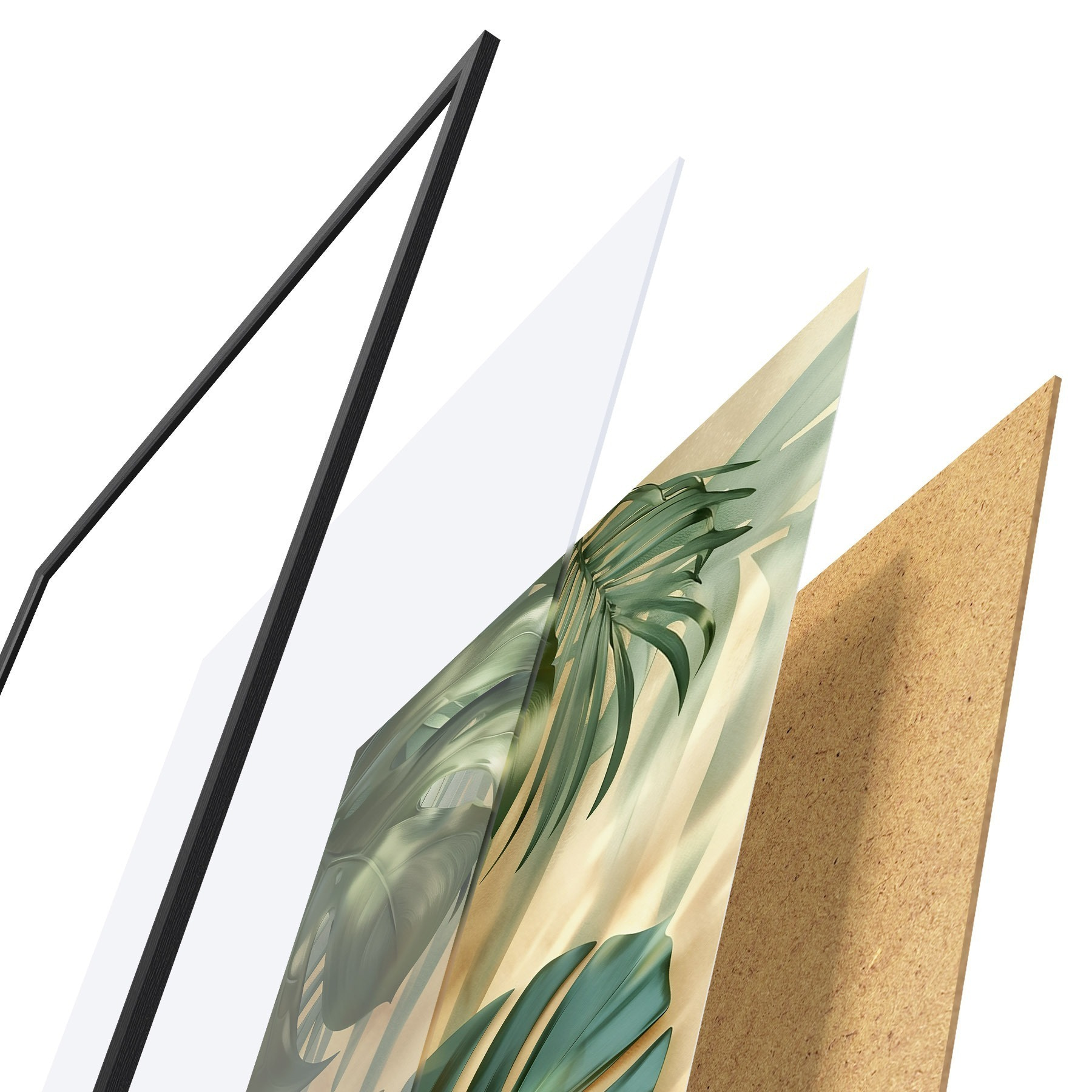 Poster Monstera a tropické listy f49552
