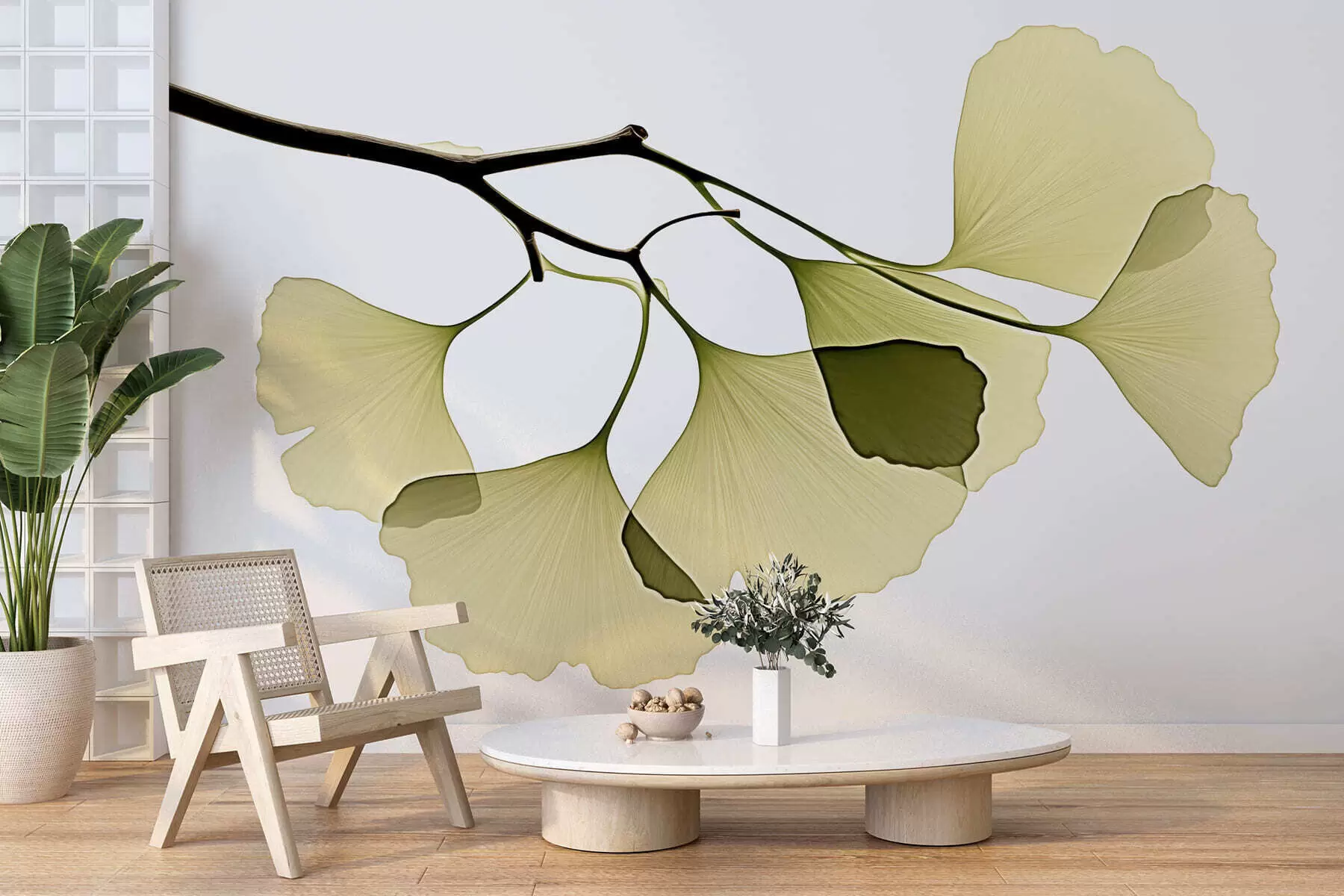 Fototapet Listy ginkga ve tvaru vějíře w09968