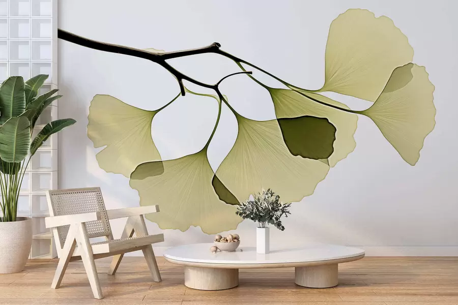 Fototapet Listy ginkga ve tvaru vějíře w09968