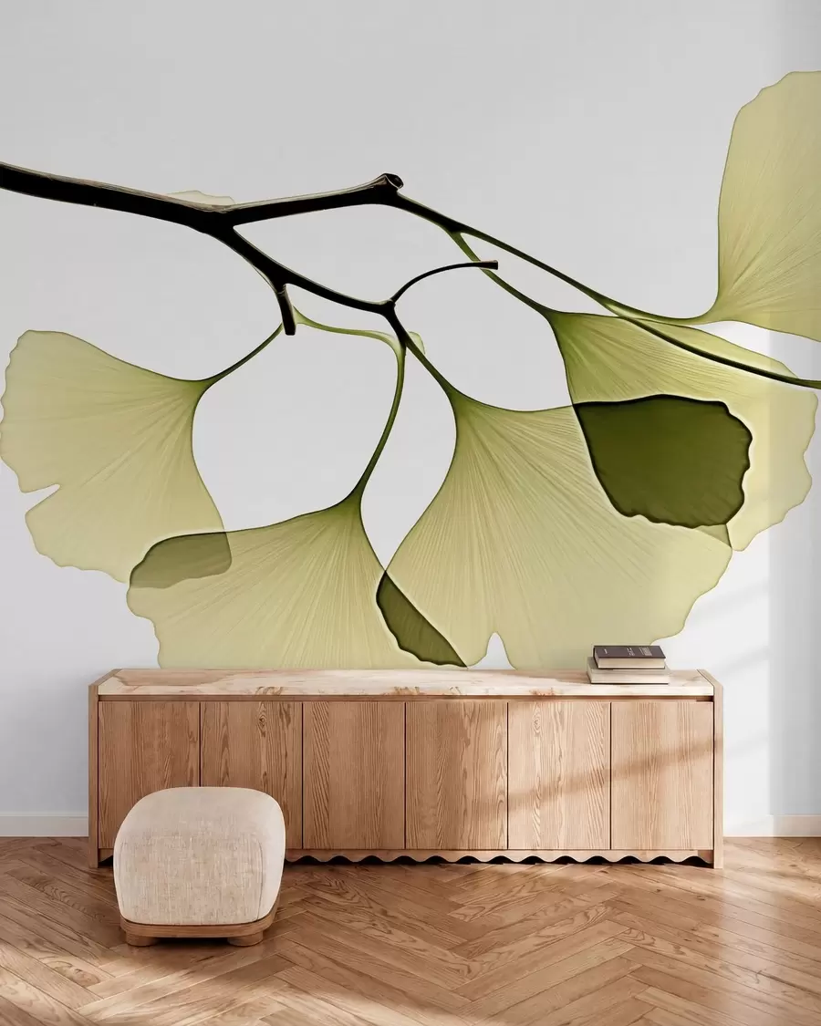 Fototapet Listy ginkga ve tvaru vějíře w09968