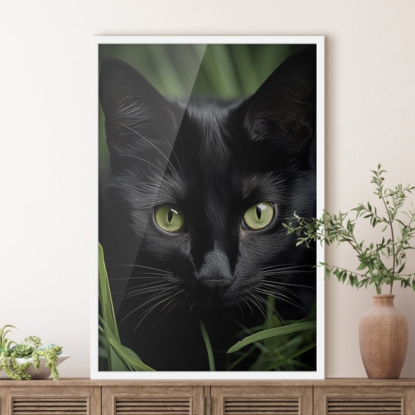Plakát Pohled černé kočky v tropech, Postery hmyz a zvířata, f50761wh : Uwalls