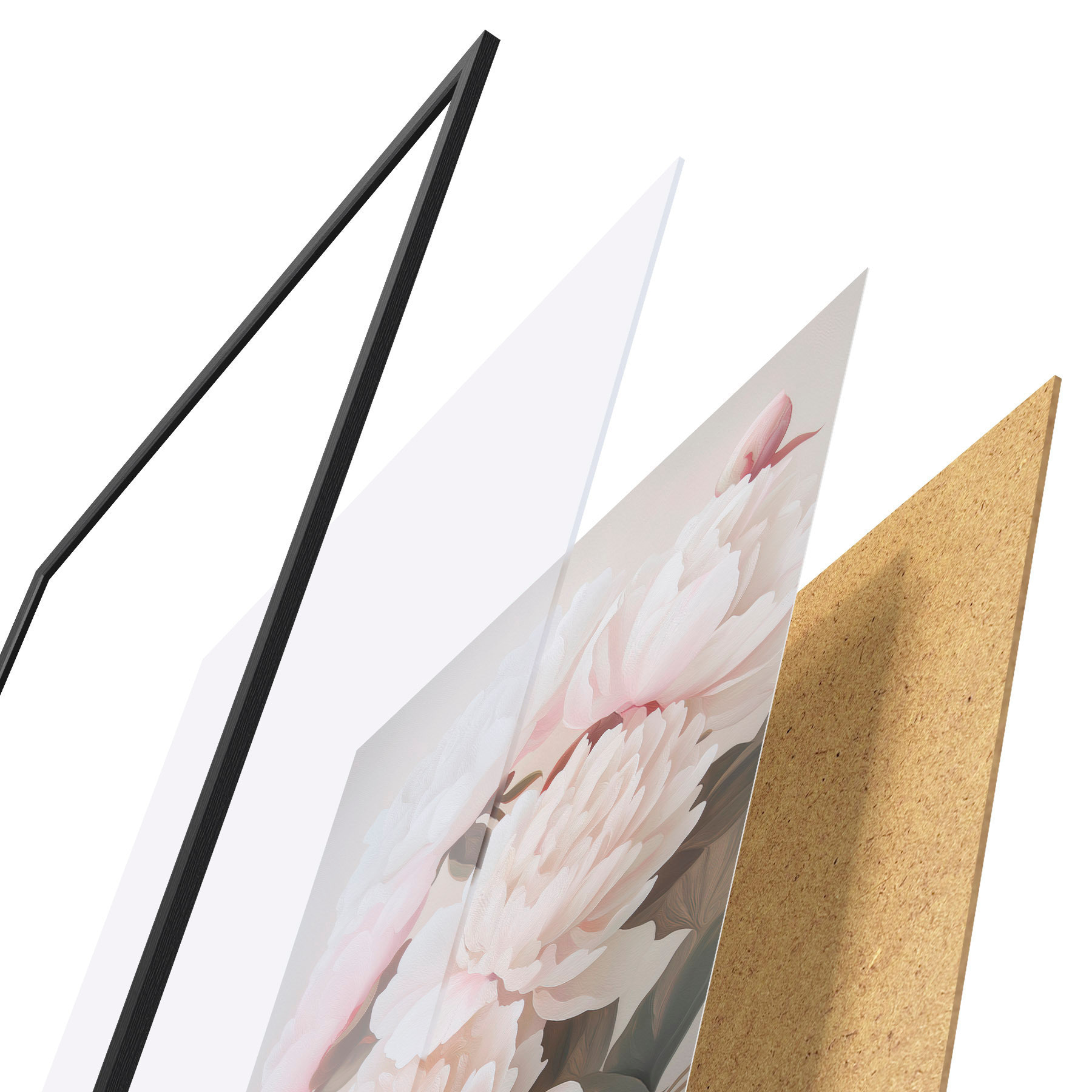 Poster Pivoňky f51153