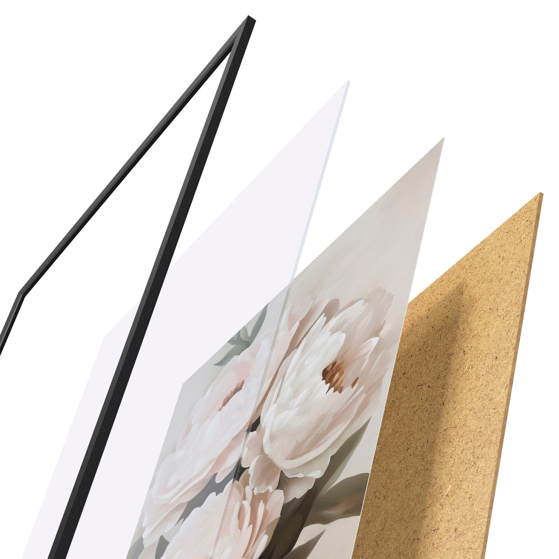 Poster Pivoňky f51154