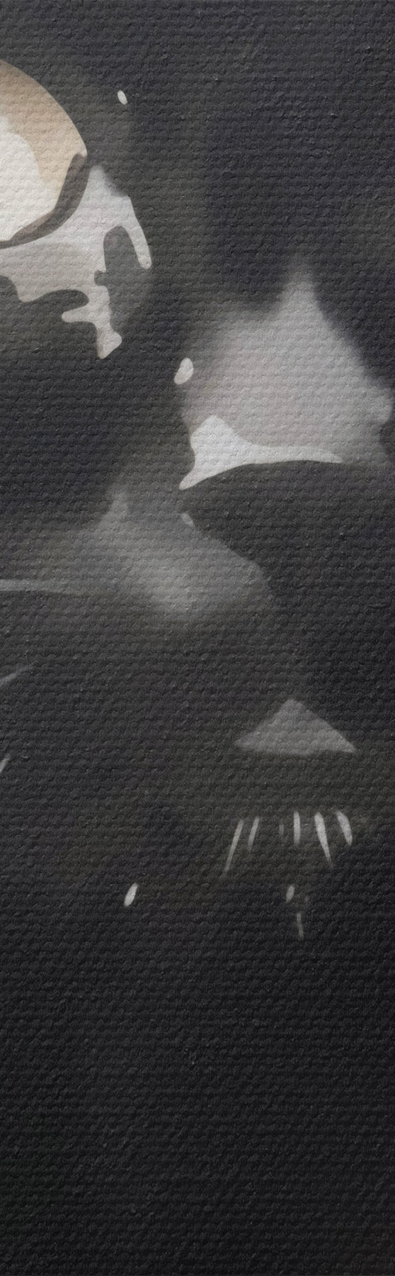 Obraz Portrét kočky, napodobenina malby Č. s51169