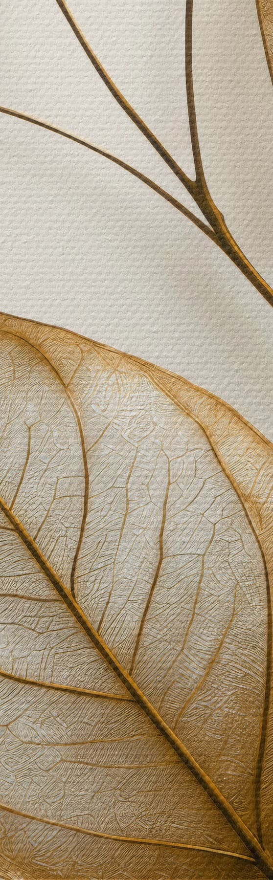 Obraz Elegantní botanická větev Č. s50866