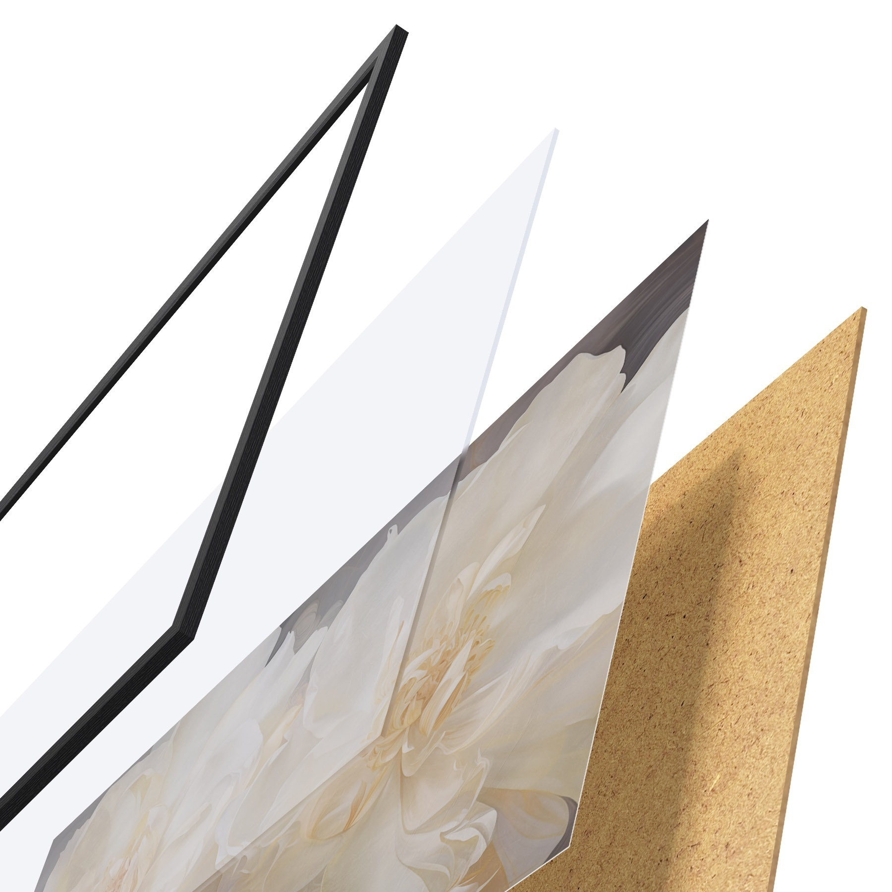 Poster Detailní záběr světlých dvojitých pivoňek f51088