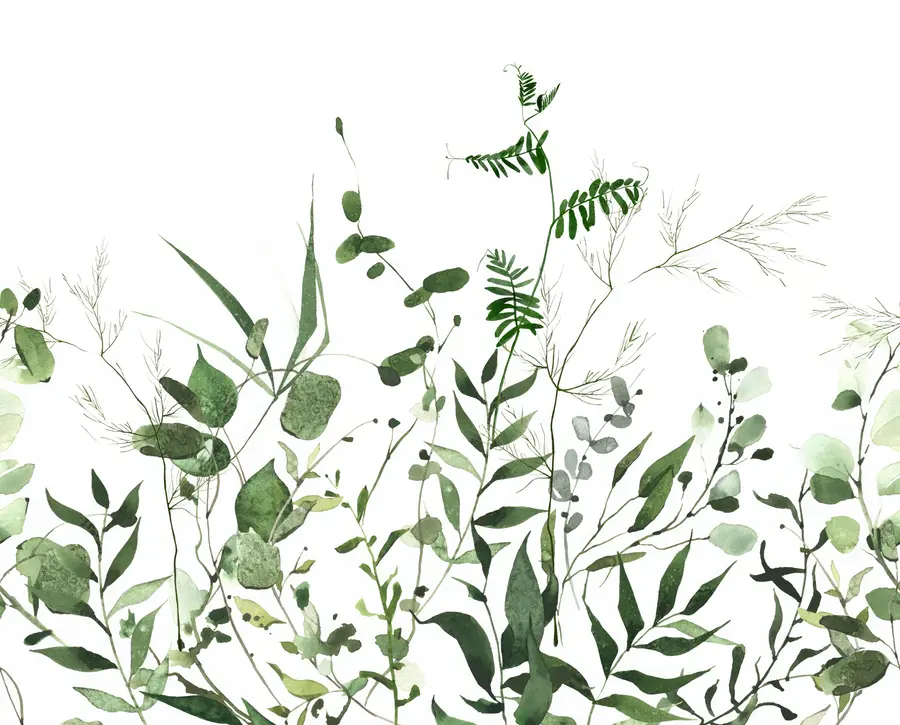 Fototapet Zelené divoké větve u72395