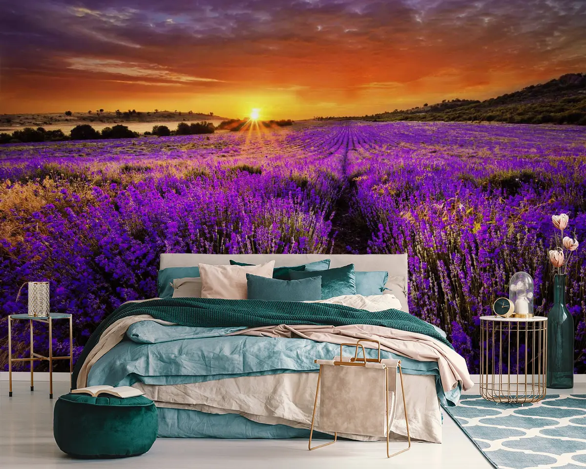 Fototapet Květina, mrak a obloha u57609