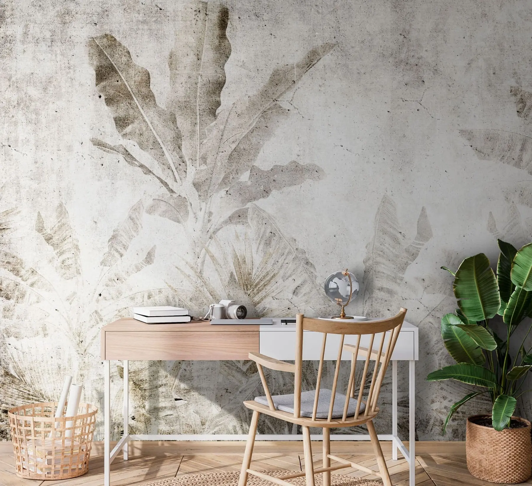 Fototapet Banánové listy na betonové zdi u73886