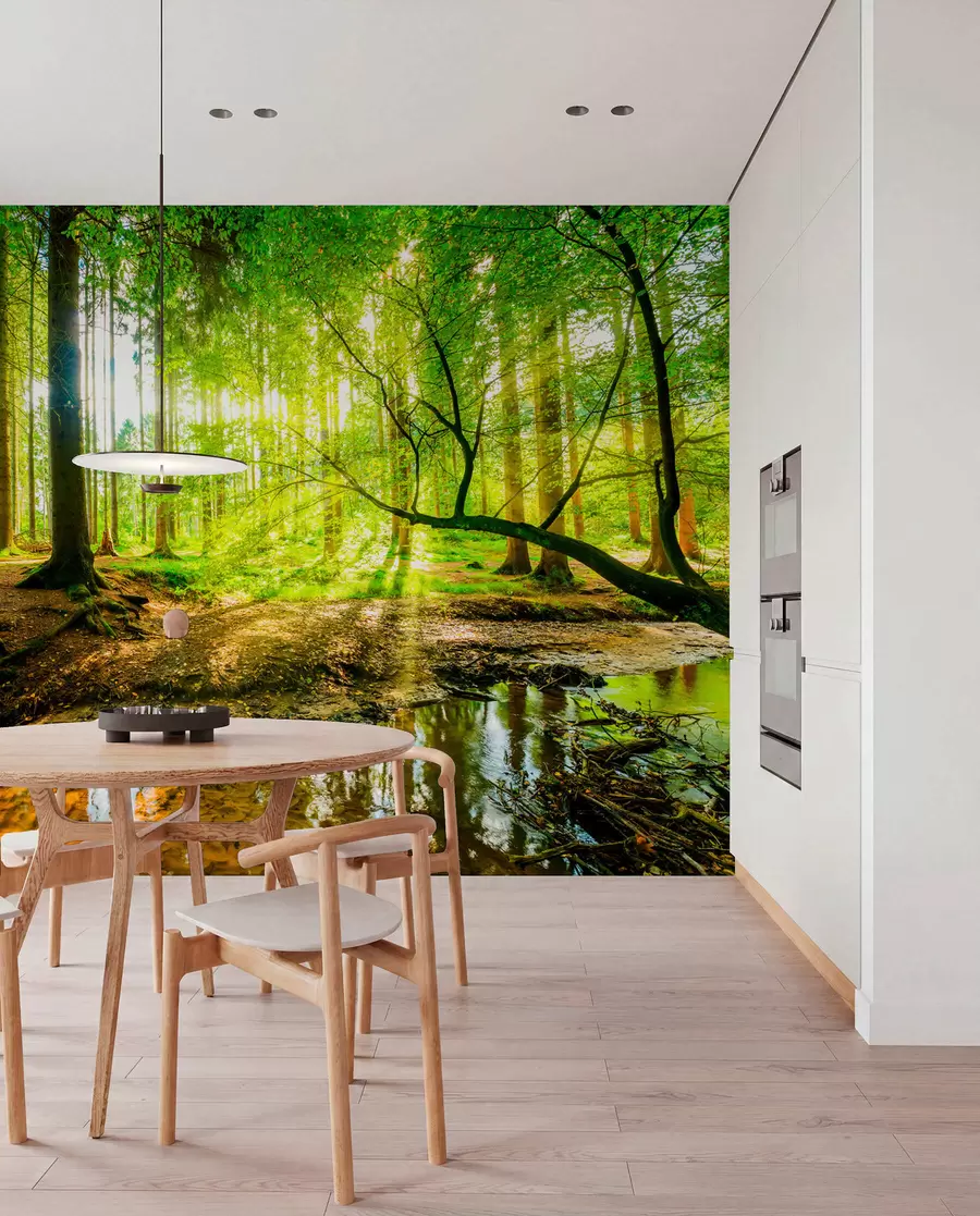 Fototapet Průhlednost lesního potoka u93621