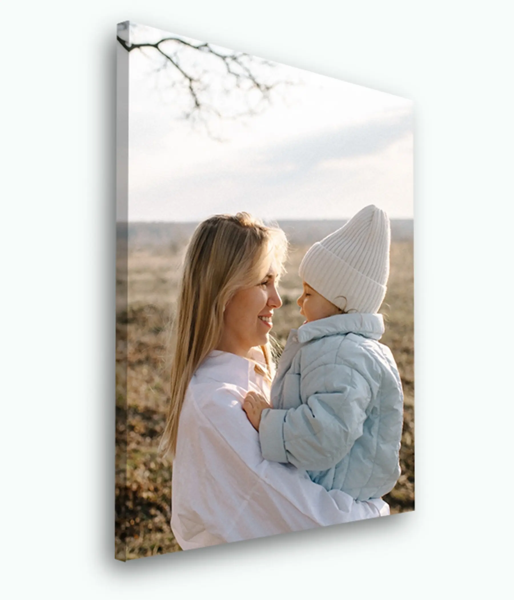 Obraz Obloha, květináč a rostlina Č. s33460