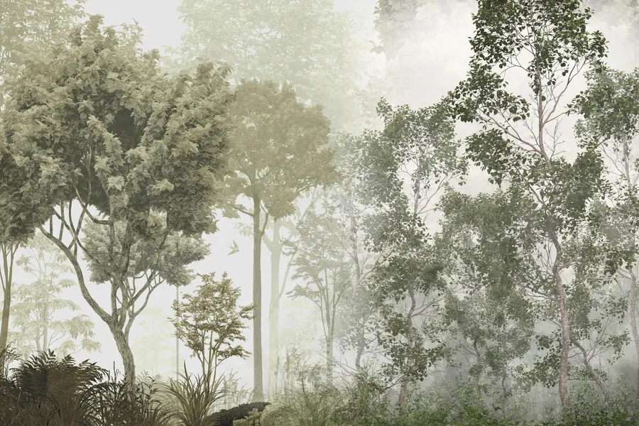 Fototapet Tropické stromy a listy v mlhavém lese u97402