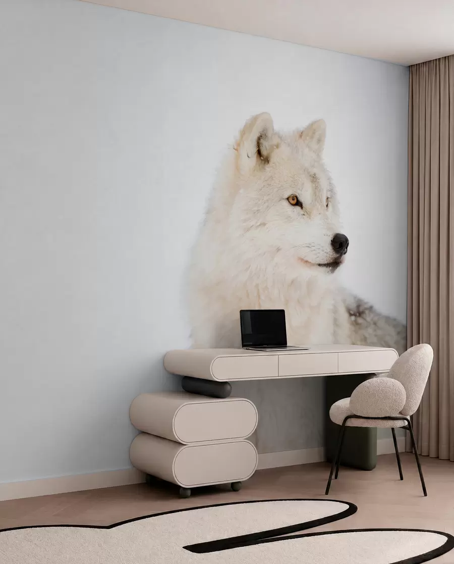 Fototapet Arktický vlk na bílém pozadí u98189