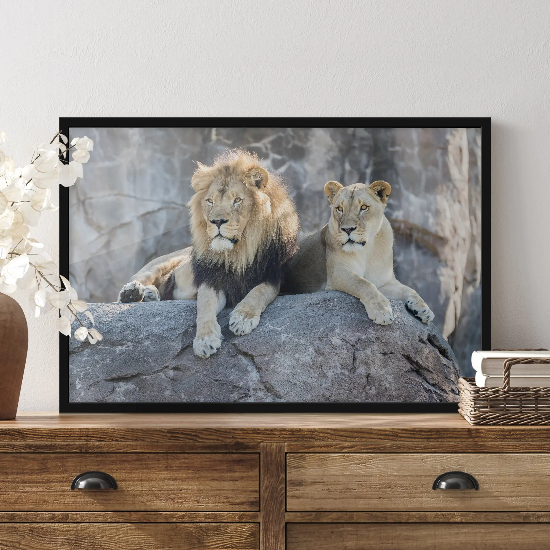 Obraz Lev, kočka a šelma Č. f15278