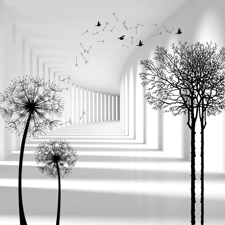 Fototapet Hloubka a světlo u37803d1