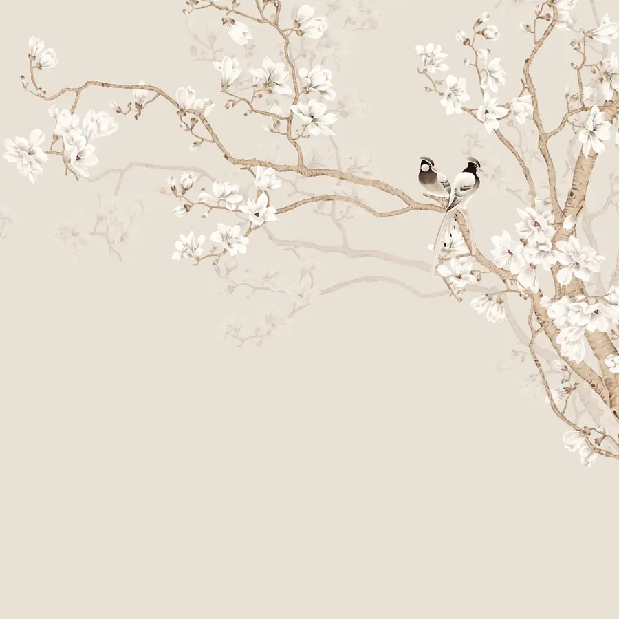 Fototapet Magnolie v zahradě u25842d1